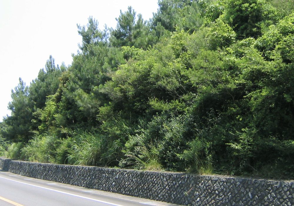 環境緑化_施工現場